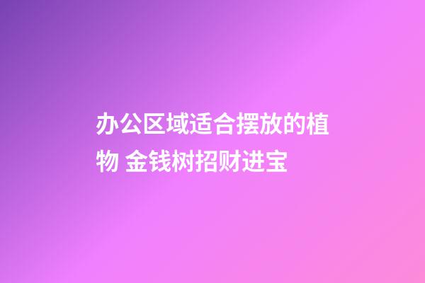 办公区域适合摆放的植物 金钱树招财进宝